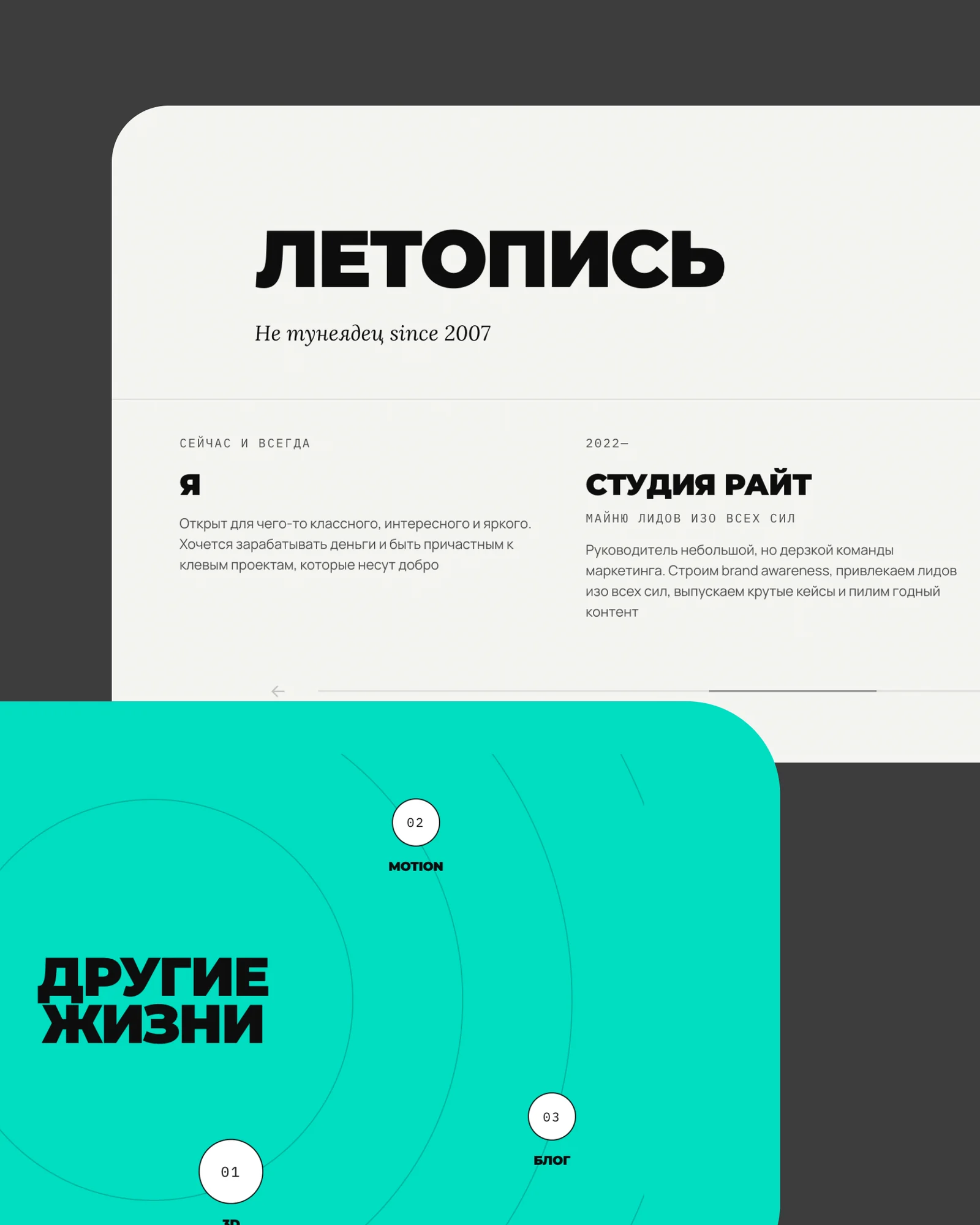 Летопись и раздел «Другие жизни» на личном сайте